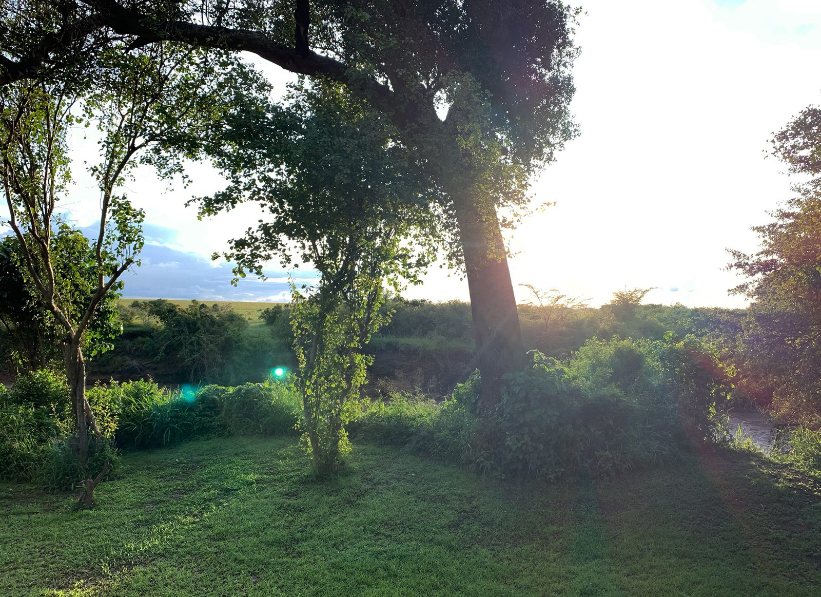 View from Tipilikwani Resort